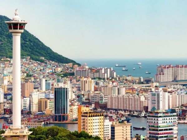 Discover Busan Tower